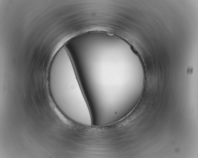 X0000092250898200709141003