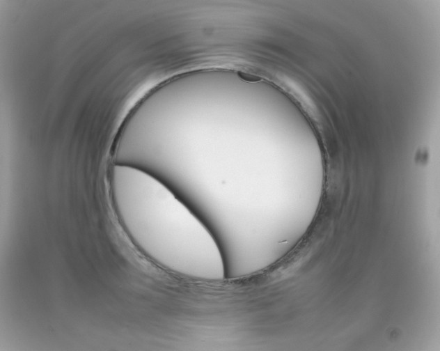 X0000092250899200709141003