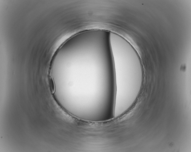 X0000092250901200709141003