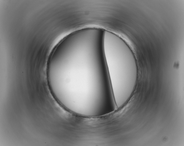 X0000092250902200709141003