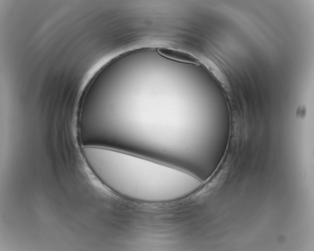X0000092250904200709141003