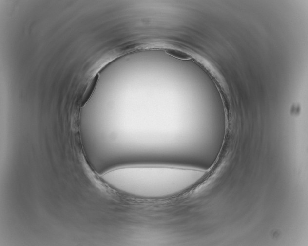 X0000092250905200709141003