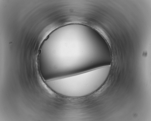 X0000092250906200709141003