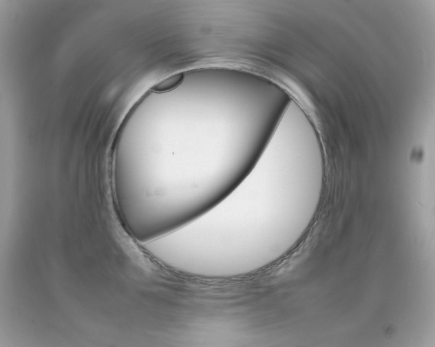 X0000092250907200709141003