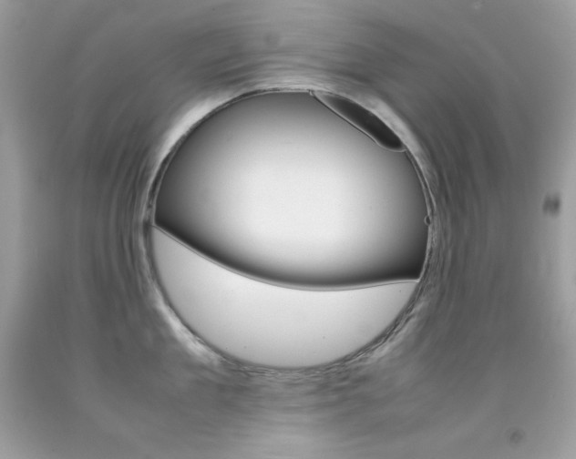X0000092250909200709141003