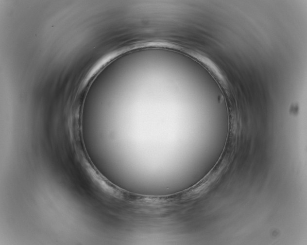 X0000092250910200709141003