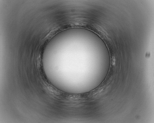 X0000092250915200709141002