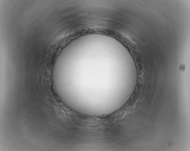 X0000092250917200709141002