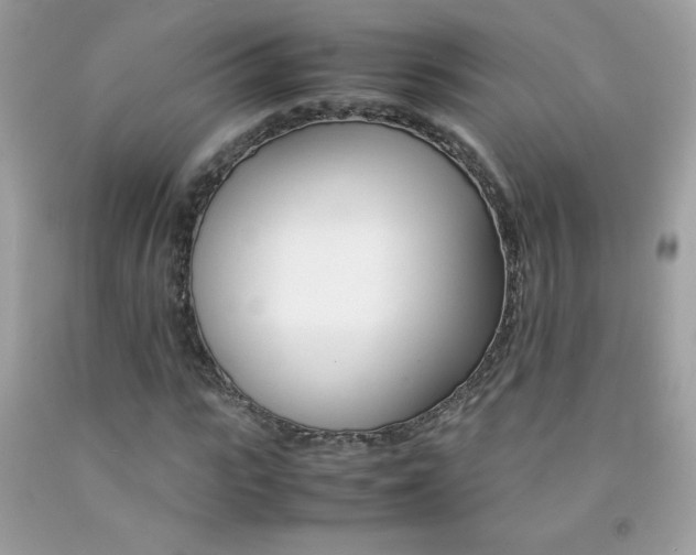 X0000092250919200709141002