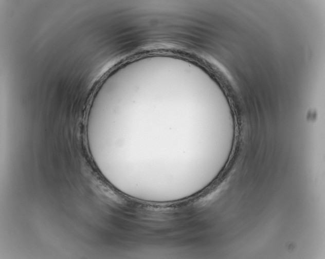 X0000092250921200709141002