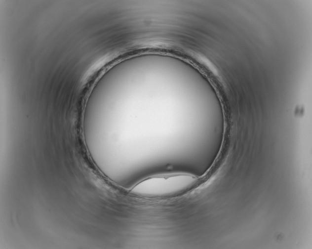 X0000092250922200709141002