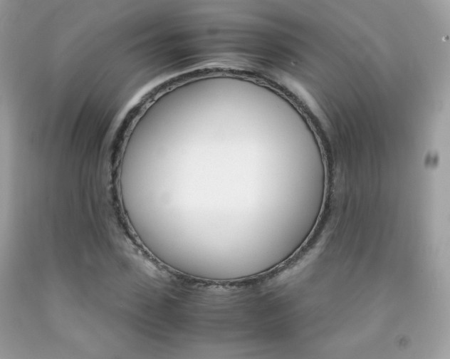 X0000092250923200709141002