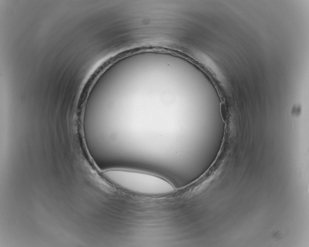 X0000092250924200709141002