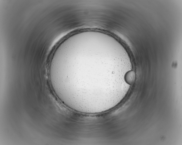 X0000092250925200709141002