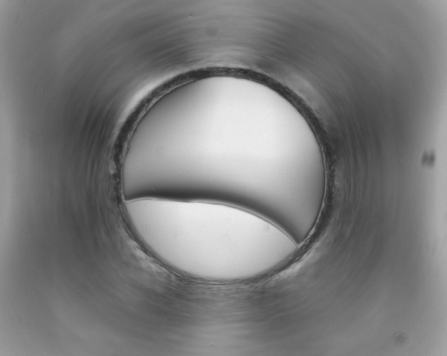 X0000092250926200709141002
