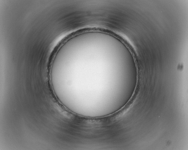 X0000092250927200709141002