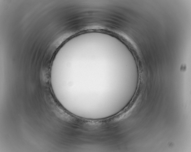 X0000092250929200709141002