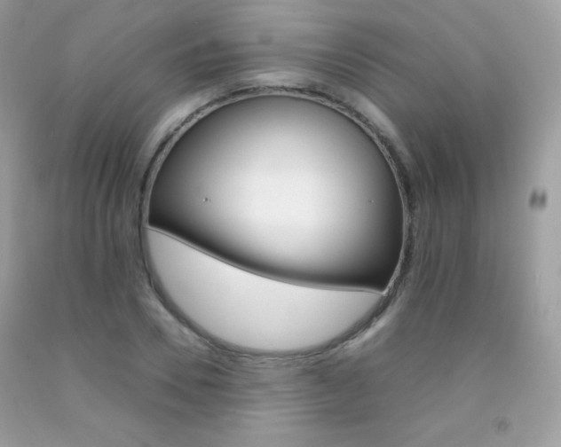 X0000092250930200709141002