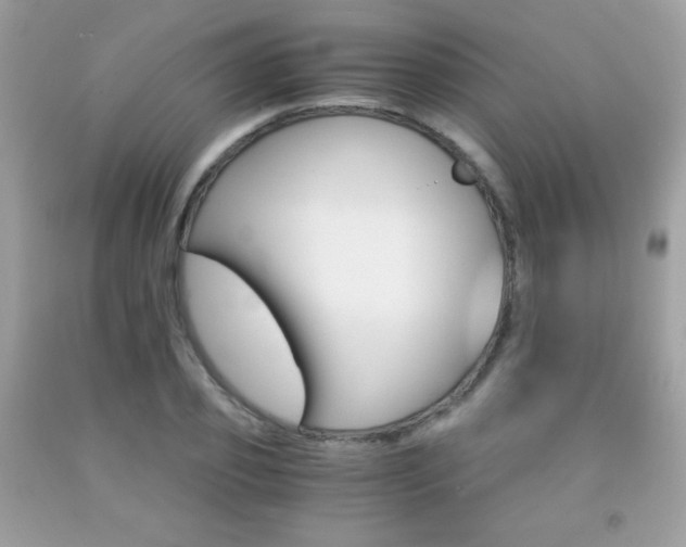 X0000092250933200709141002