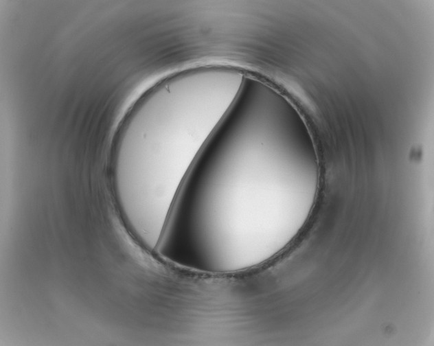 X0000092250934200709141002