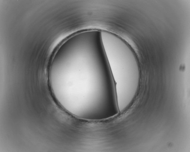 X0000092250936200709141002