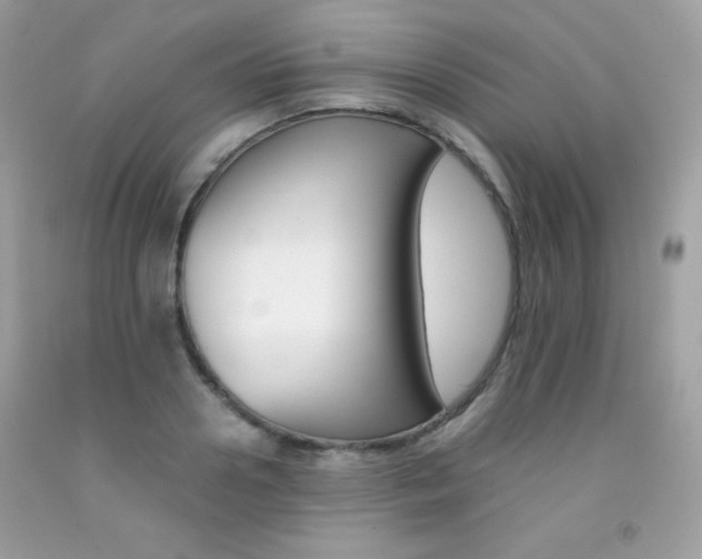 X0000092250938200709141002