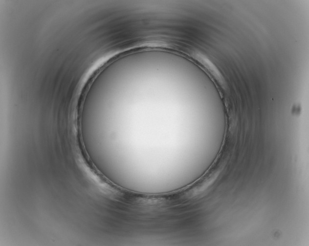 X0000092250939200709141002