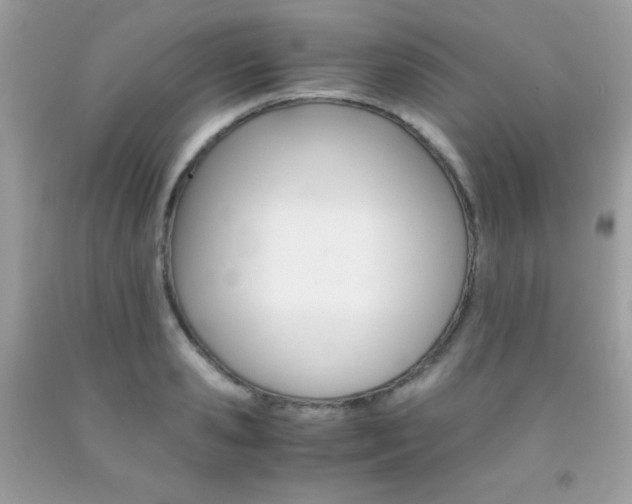 X0000092250941200709141002