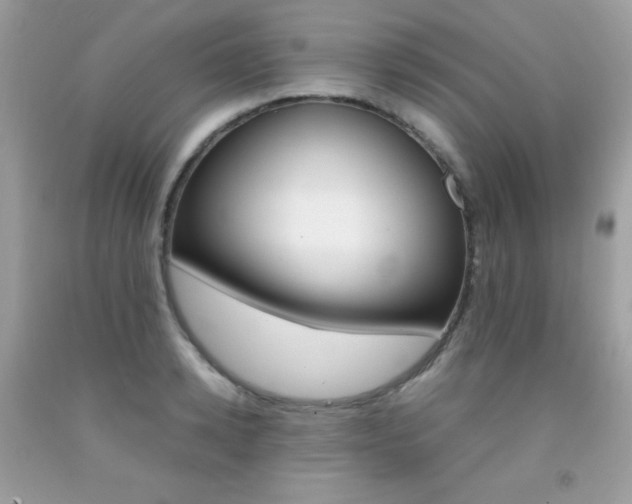 X0000092250942200709141002