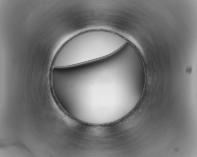 X0000092250943200709141002