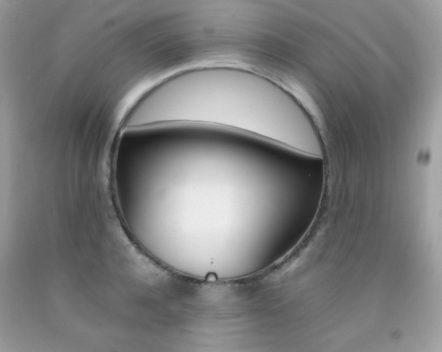 X0000092250944200709141002