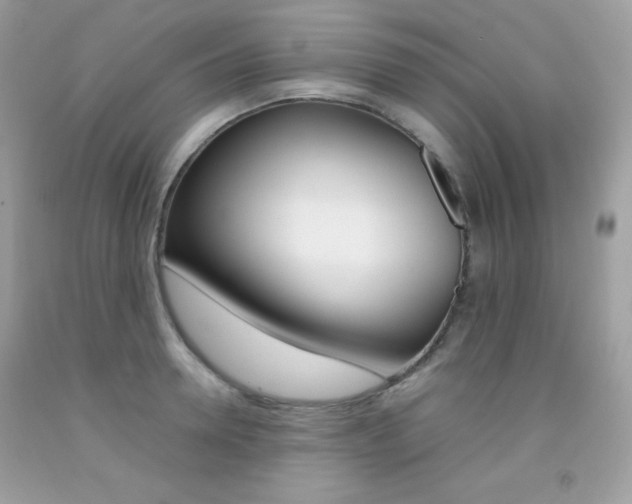 X0000092250946200709141002