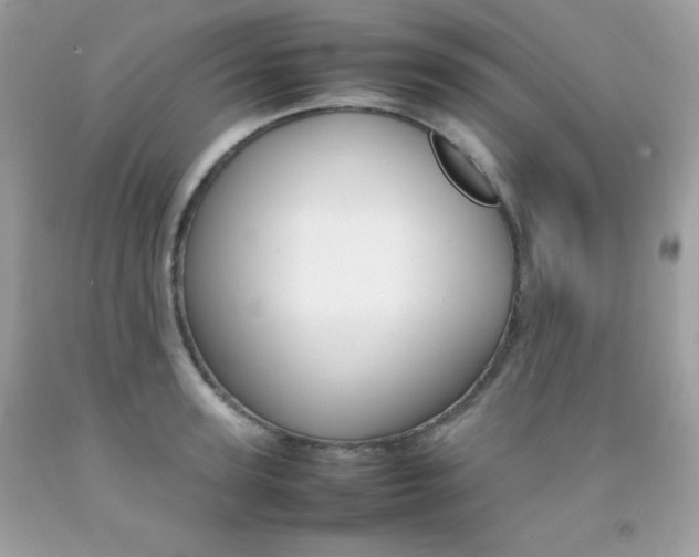 X0000092250947200709141002