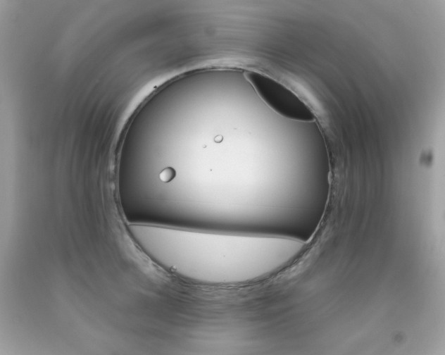 X0000092250948200709141002