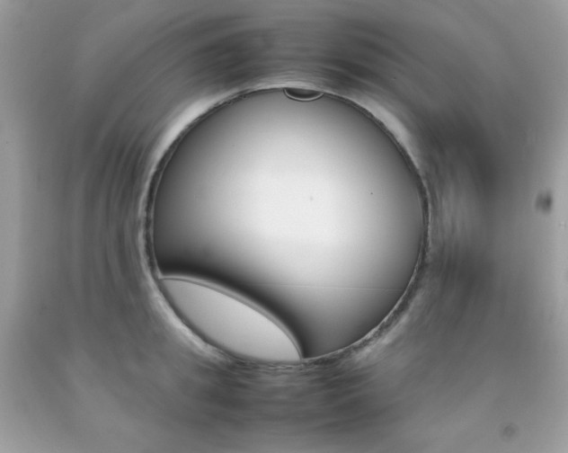 X0000092250949200709141002