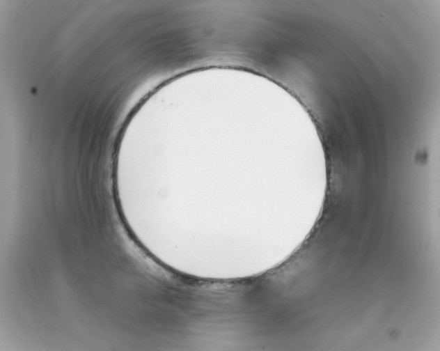 X0000092250950200709141002