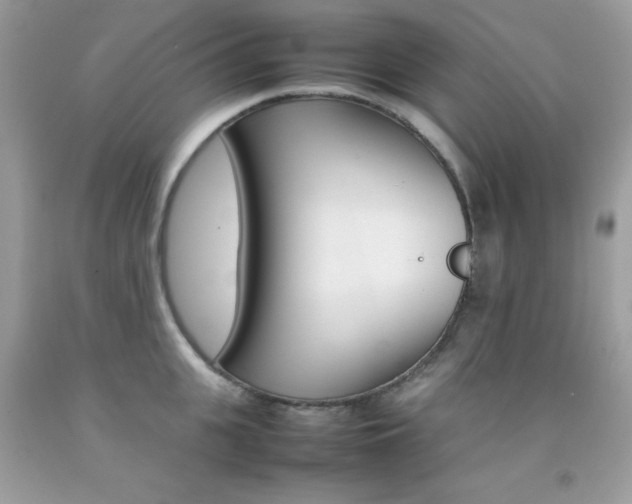 X0000092250951200709141002