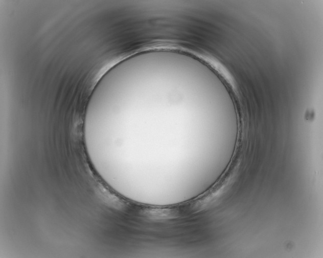 X0000092250953200709141003