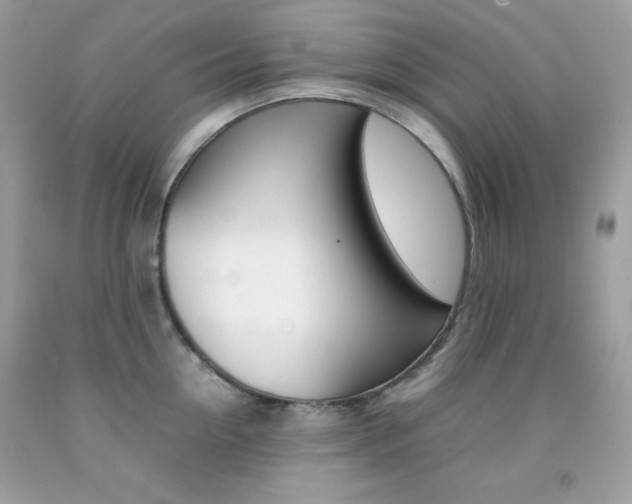 X0000092250954200709141003