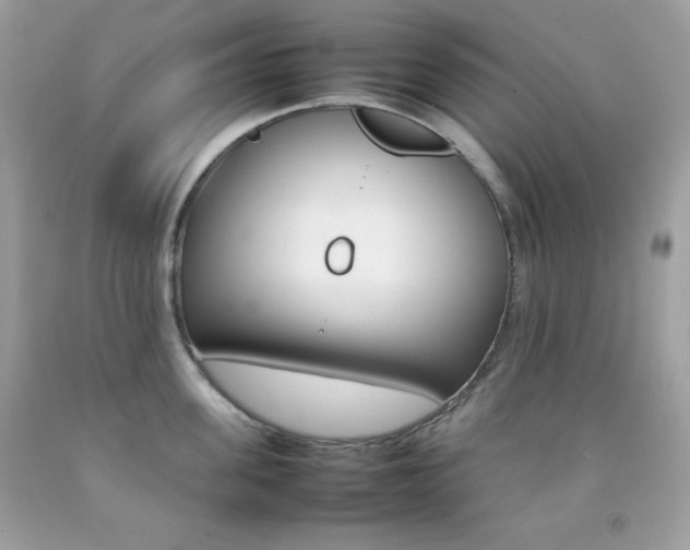 X0000092250955200709141003