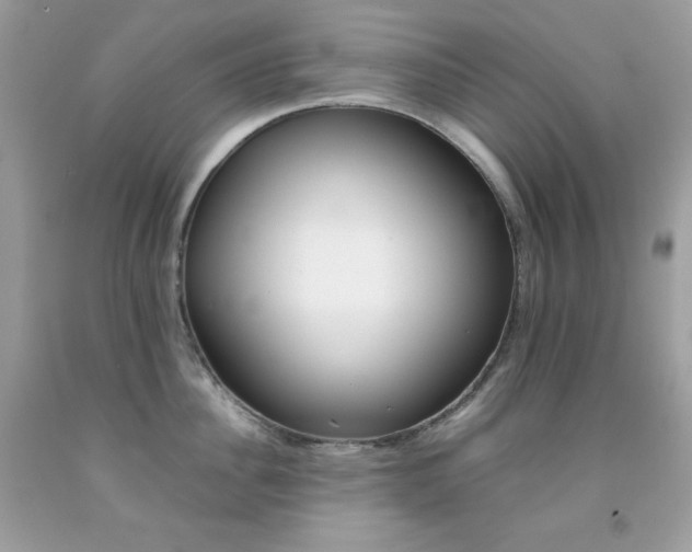 X0000092250956200709141003