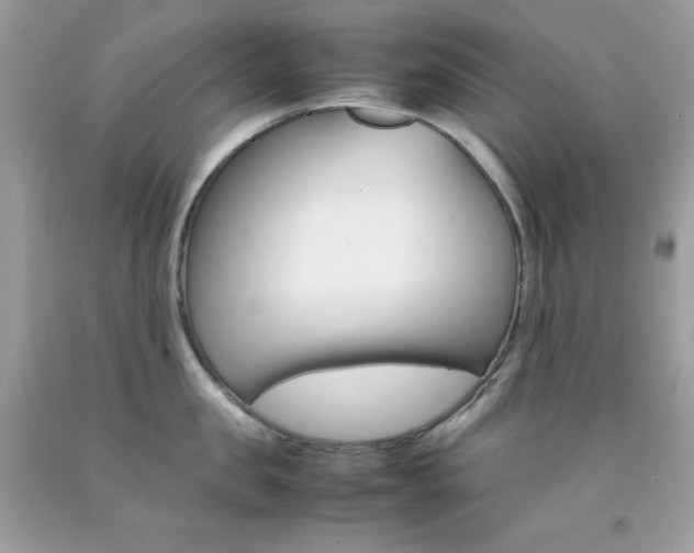 X0000092250957200709141003
