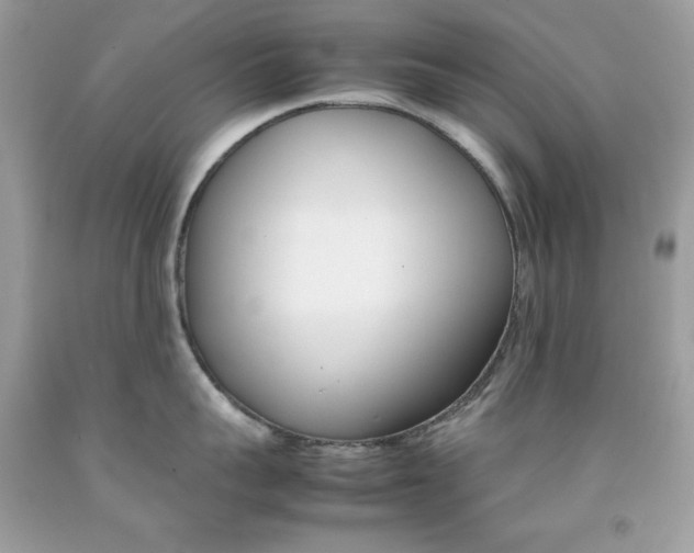 X0000092250959200709141003