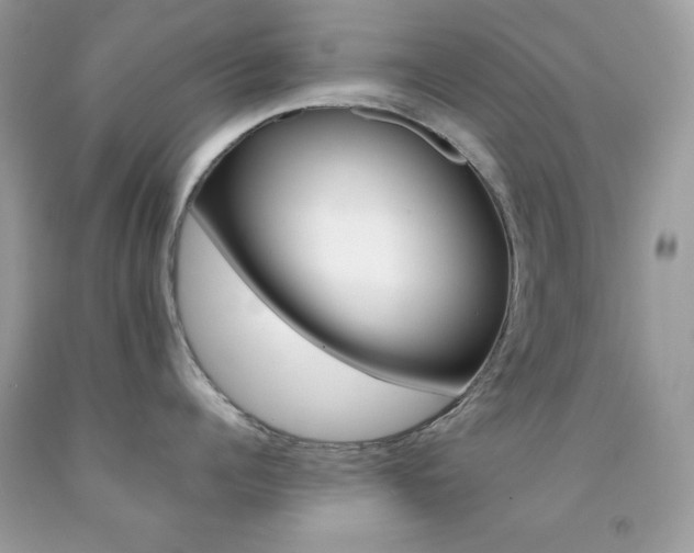 X0000092250960200709141003