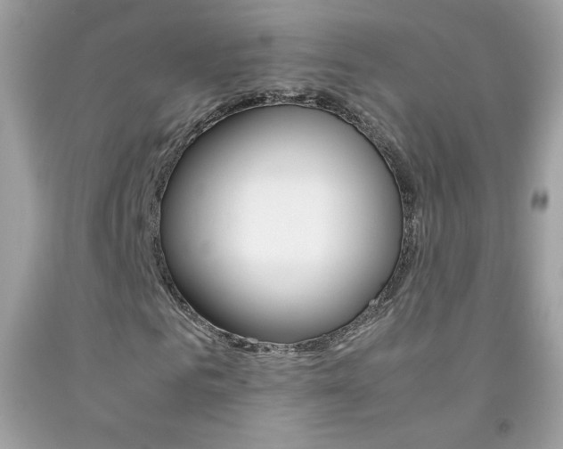 X0000092250961200709141002