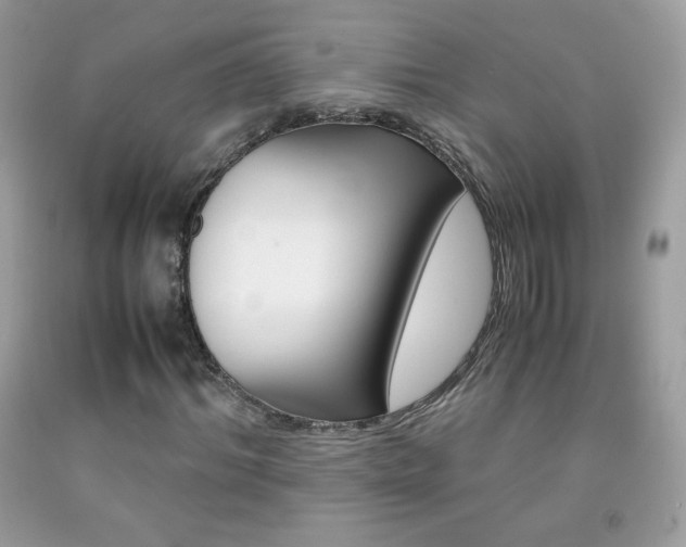 X0000092250964200709141002