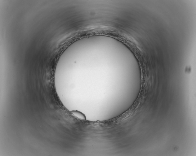 X0000092250966200709141002