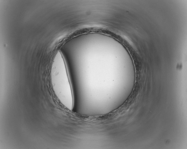 X0000092250967200709141002