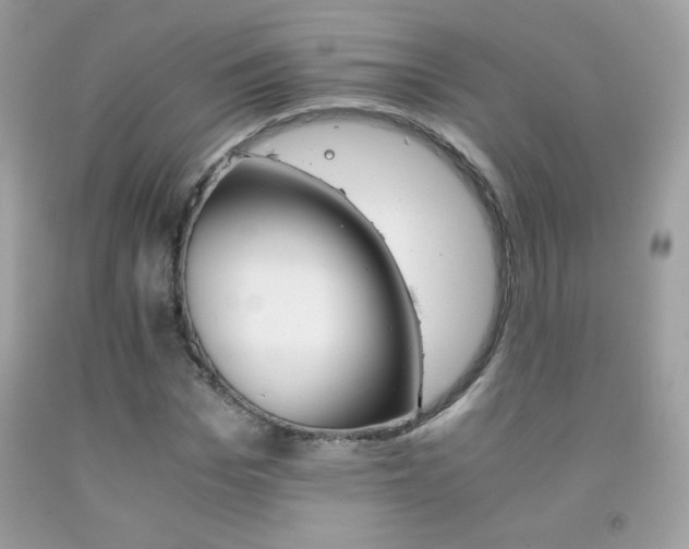 X0000092250969200709141002