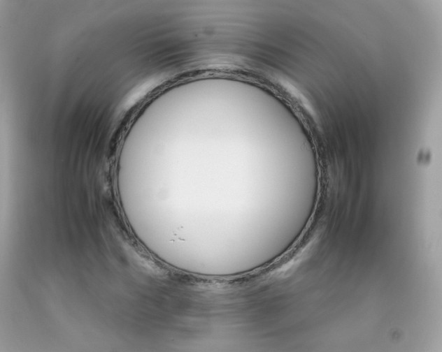 X0000092250970200709141002